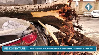 Одесу штормить: є жертви, сотні впалих дерев та пошкоджених авто