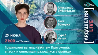 Грузинский взгляд на мятеж Пригожина: власти и оппозиция разошлись в оценках