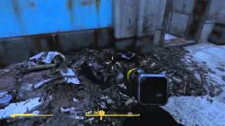 Fallout   Complimenting Magnolia   Companions Comments