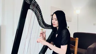 Depeche Mode - Somebody (harp cover)