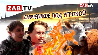 Огонь взял в кольцо Ключевское – тушили всем селом