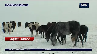 26 лошадей погибли, провалившись под лед на озере