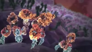 XVIVO Scientific Animation Demo Video