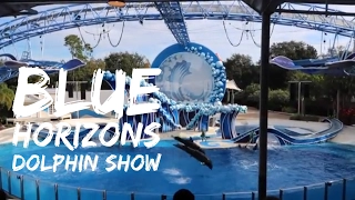 Blue Horizons Dolphin Show - Sea World Orlando - Full Show HD