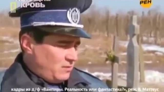 Вампиры в наши дни.