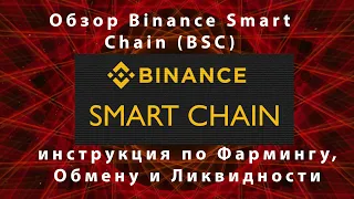 Обзор Binance Smart Chain (BSC) плюс инструкция по Фармингу, Обмену и Ликвидности