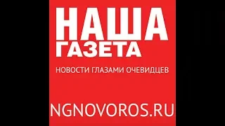 Ручная лиса поселилась на железнодорожном вокзале Новороссийска