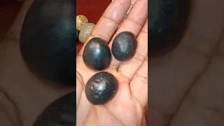 bato balani o jade stone? pusod Ng alimango wishing stone