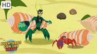 El rescató de los cangrejos [episodios completos] Aventuras con los Kratt