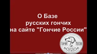 О Базе русских гончих