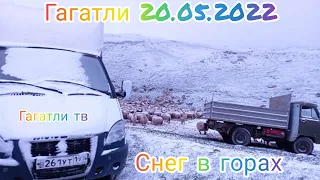Гагатли 20.05.2022 снег в горах