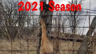 2021 Season Recap video