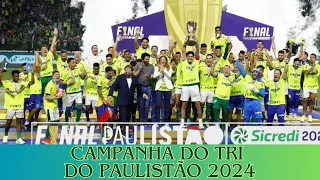 Veja a Campanha do PALMEIRAS no PAULISTÃO 2024 (Tri Paulista)