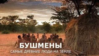 Бушмены - самые древние люди на земле