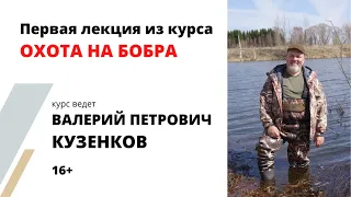 Охота на бобра. Учет и популяция. Академия охоты, лекция из курса "Охота на бобра"