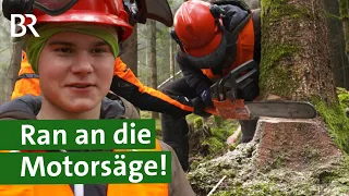 Motorsägenkurs: Bäume fällen im Wald mit der Kettensäge | gefährliche Forstarbeit | Unser Land | BR