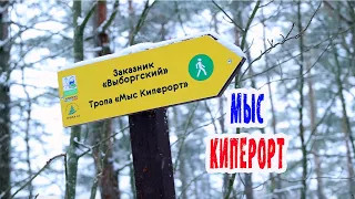 Мыс Киперорт. Идеальное место для лесных прогулок в Ленинградской области.