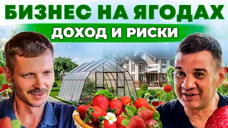 8 миллионов рублей с гектара | Доходный бизнес на клубнике и малине. Как начать? Андрей Даниленко