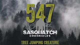 SC EP:547 Tree Jumping Creature