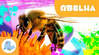 A Abelha🐝 Animais para crianças 🍯 Episódio 4