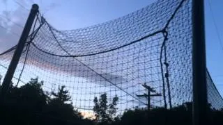 DIY batting cage backyard design