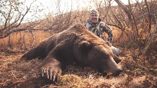 Alaskan Peninsula Brown Bear Hunt October 2023