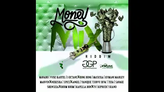 Money Mix Riddim (Mavado, Shenseea, Vybz Kartel etc...)