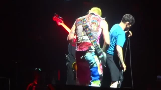 Red Hot Chili Peppers - Hey (Tour Debut) - 09 Nov, 2016 - Amsterdam ((SBD Audio))