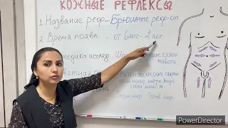 Методика определения нормальных рефлексов. Кожные рефлексы-Skin  reflexes.