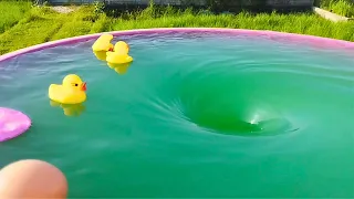 Ducklings VS whirlpool. Whirlpool experiments. Whirlpool Video.