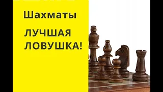 Шахматы. ЛУЧШАЯ ЛОВУШКА ! онлайн, бесплатно, игра, играть