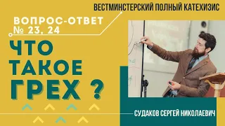 Что такое грех? (ВПК. В-О №23, 24) // Судаков С. Н.