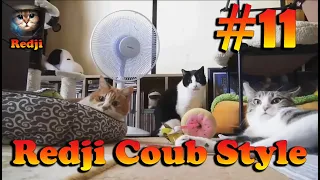 Redji COUB Style #11 ⁄⁄ Лучшее в Coub ПРИКОЛЫ Best Coub