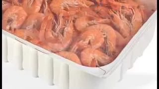 SEALPAC RE25 for shrimp in Gamba Packaging