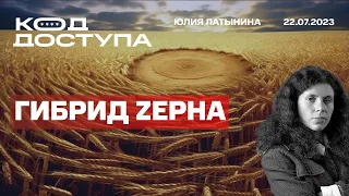 Конец зерновой сделки. Угрозы Польше. Стрелков и Пригожин. Навальный