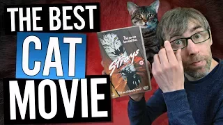 What is The Best Movie Featuring Cats?