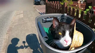 Mit Mr.Whiskers und Bernd zum Hasselfelder Strand - Radtour #2/6