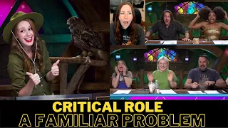 A Familiar Problem Sprinkle's Incredible Journey | Critical Role Reaction & Review