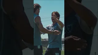 Cade x Niko at Training