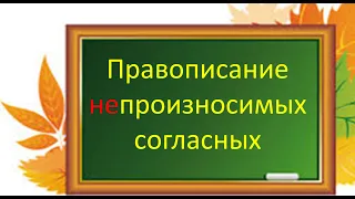 Русский язык. Правописание непроизносимых согласных. Видеоурок