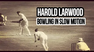 HAROLD LARWOOD BOWLING IN SLOW MOTION
