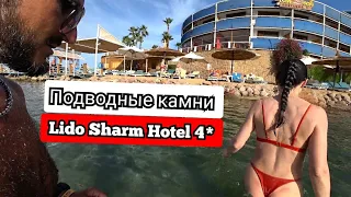 Крылатка и мурена 🇪🇬 Lido Sharm Hotel 4* Первая линия Нама Бей / Питание и подводный мир