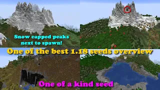 This minecraft 1.18 seed is one of a kind! Snowy peaks, stone peaks and many biomes around spawn