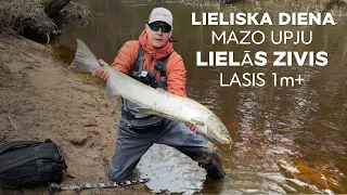 BigFish. Mazo upju pārsteigumi, burvīga diena un lasis 1m+. Lašišų žvejyba. Балтийский лосось. 捕捞鲑鱼