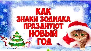 КАК ЗНАКИ ЗОДИАКА ПРАЗДНУЮТ НОВЫЙ ГОД❄🎄❄