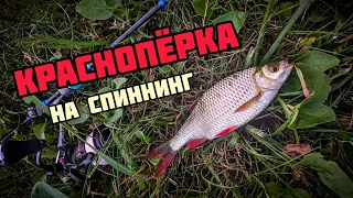 МОРМЫШИНГ |  ЛОВЛЯ КРАСНОПЕРКИ НА СПИННИНГ | ЗАМОР КАРАСЯ