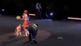 Gail Mirabella Circus Dog Act Highlights -- Ringling Blue Unit