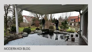 Modern Koi Blog #5086 - So hältert Thomas seine Koi im Teich während des Umbaus