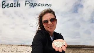 Popcorn beach in Fuerteventura, Canary Islands, Spain