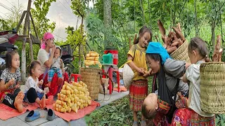 A Special Day for a Single Mother: Harvesting Cassava to Sell with her 3 Daughters | Sung Thi So